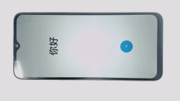 Realme 10s RMX3617 Cellphone (Black 256GB 8GB) Unknown Carrier DualSIM