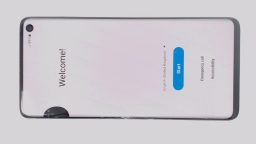 Samsung Galaxy S10 SM-G973F/DS (White 128GB 8GB) Unknown Carrier CRACKED