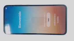 Samsung Galaxy A55 5G SM-A556E Cellphone (Gray 128GB 8GB) Unknown Carrier