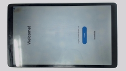 Samsung Galaxy Tab A7 Lite SM-T220 (Gray 64GB 4GB) WiFi BROWN LCD/CRACKED