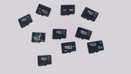 Lot of 10 - 2GB No Label/Brand Micro SD Memory Cards