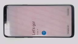 Samsung Galaxy S9+ SM-G965U Cellphone (Black 64GB 6GB) Verizon BURN IN